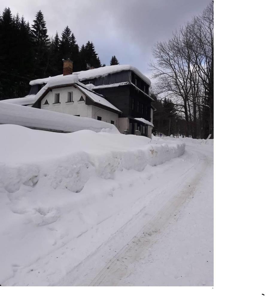 Apartman Pod Marianskou Horou Desna  Luaran gambar
